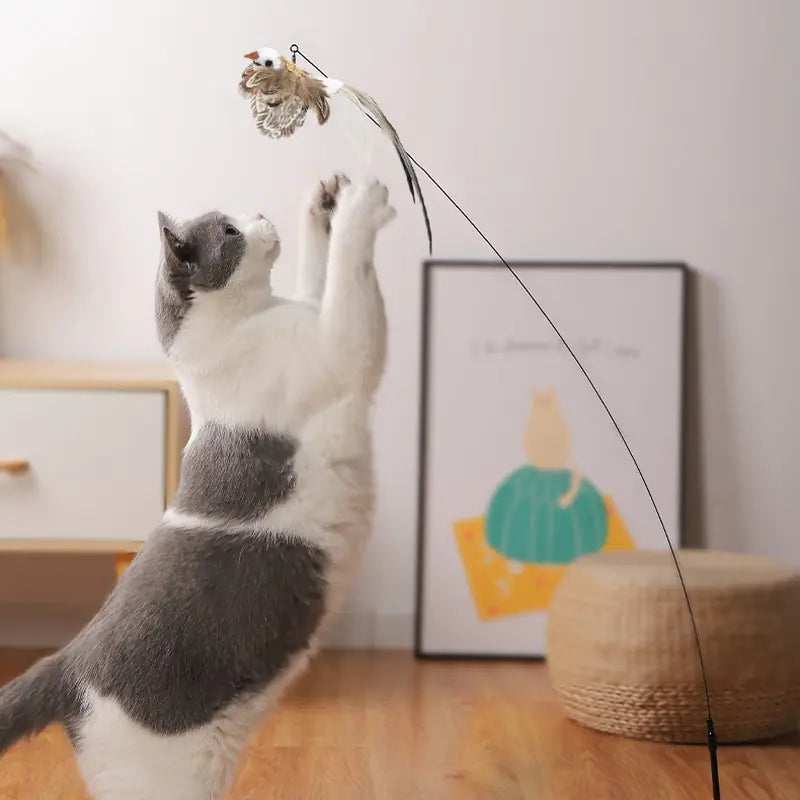 Bird Simulator Interactive Cat Toy